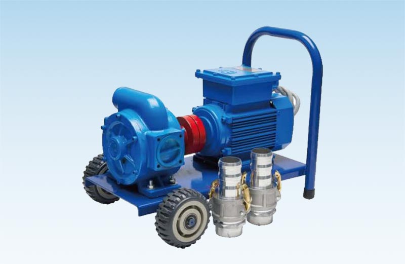 Electric Oil Pump Series