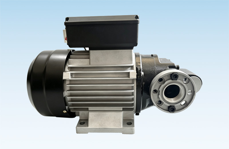 WD100